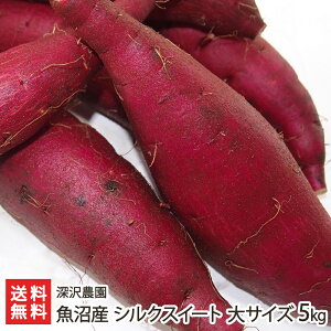 Y ቷn܂ VNXC[guʏTCY 3kgvoruTCY 5kgv[_ ܈ Tc}C Ă XC[c V YҒ  Mtg v[g 蕨 