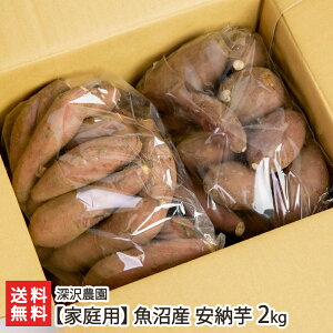 Y ቷn܂ ƒp [îj2kgiTCYj[_ yAmEC/܈/Tc}C/Ă/XC[czyyY/yY/MtgɁI蕨zy