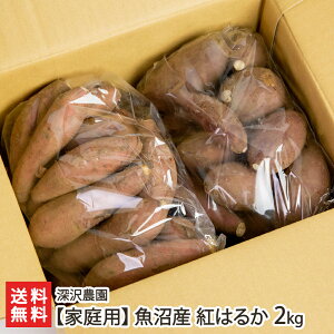 yƒpzY ቷn܂ g͂邩 2kg iTCYj [_ 󂠂 ׂɂ͂邩 xjnJ ܈ Tc}C Ă XC[c V YҒ   