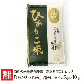 令和6年度産米 新潟県産コシヒカリ「ひかりっこ米」精米 選べる 5kg 10kg 百姓の米屋 新潟農園 こしひかり ライス 白米 完熟もみ殻堆肥 もっちり 新潟県 生産者直送 お取り寄せ ギフト プレゼント 贈り物 送料無料
