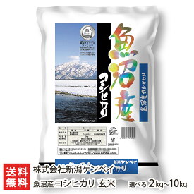 【令和5年度米】魚沼産コシヒカリ 玄米 選べる2kg～10kg 新潟ケンベイ【新潟産こしひかり】【お土産/手土産/プレゼント/ギフトに！贈り物】【送料無料】