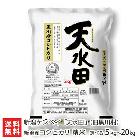 【令和5年度米】新潟産 コシヒカリ「天水田」精米 選べる5kg～20kg 新潟ケンベイ【新潟産こしひかり】【お土産/手土産/プレゼント/ギフトに！贈り物】【送料無料】 父の日 お中元