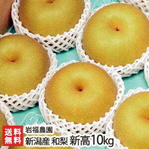 新潟産 岩福農園の日本梨 新高「5kg」or「10kg」or「特大玉 2玉入」or「特大玉 6kg」【新高梨】【10月中旬頃から順次発送】【お土産/手土産/ギフトに!贈り物】【送料無料】