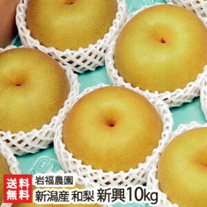 VY ╟_̓{ V u5kgvoru10kgvyVzyz