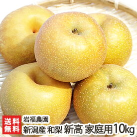 新潟産 岩福農園の日本梨 家庭用 新高「5kg」or「10kg」【新高梨】【10月中旬頃から順次発送】【送料無料】