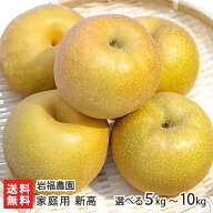 新潟産 岩福農園の日本梨 家庭用 新高「5kg」or「10kg」【新高梨】【10月中旬頃から順次発送】【送料無料】