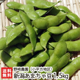 新潟産 あまちゃ豆 1.5kg（500g×3袋）野崎農園【黒埼小平方地区/あま茶豆/新鮮/枝豆】【9月上旬頃～】【代金引換決済不可】【送料無料】 父の日 お中元