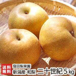 VY Ecʉ̓{ \I 3kg or 5kg \I 9{珇 V YҒ  Mtg v[g 蕨