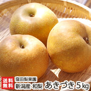 VY Ecʉ̓{ Â 3kg or 5kg Â V YҒ  Mtg v[g 蕨