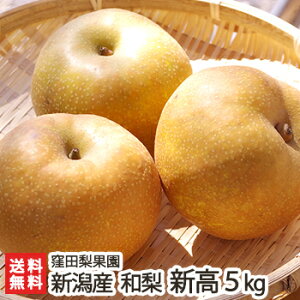 VY Ecʉ̓{ V 3kg or 5kg V V YҒ  Mtg v[g 蕨