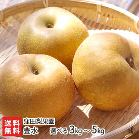 新潟産 窪田梨果園の日本梨 豊水 3kg or 5kg 豊水梨 9月上旬頃から順次発送 新潟県 生産者直送 お取り寄せ ギフト プレゼント 贈り物
