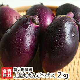 新潟産 上越丸えんぴつナス 2kg（10個入）耕太郎農園【茄子/なす/野菜/鮮度抜群/新鮮/採れたて/焼いても、揚げても、煮ても美味しい絶品のナス】【送料無料】 父の日 お中元