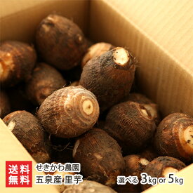 五泉産 里芋 選べる 3kg or 5kg せきかわ農園 新潟県産 サトイモ さといも 大和早生 ヤマトワセ やまとわせ 大玉 新潟県 生産者直送 お取り寄せ ギフト プレゼント 贈り物 送料無料 お歳暮