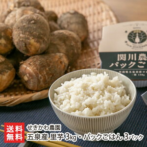 ܐY  3kgEpbN͂ 3pbN _   R z ]i Ђ Ƃ TgC  ƈ lߍ킹 Zbg V YҒ  Mtg v