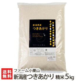 【令和5年度米】新潟産 つきあかり 精米5kg ファーム小栗山【精白米/新潟産/新潟米/アミノ系有機100％の肥料で栽培/新品種/大粒】【お土産/手土産/プレゼント/ギフトに！贈り物】【送料無料】 父の日 お中元