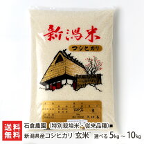 楽天市場】無農薬 コシヒカリ 新潟の通販