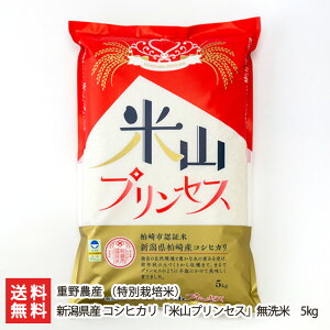 yߘa7NxVāz VY RVqJuĎRvZXviʍ͔|āj 5kg d_Y Ђ CX   V YҒ  Mtg v[g 蕨 
