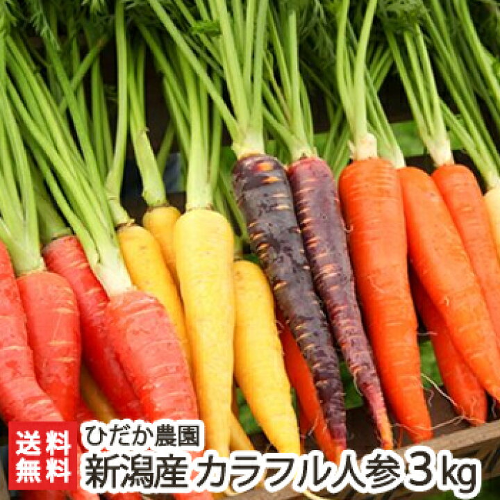 楽天市場 新潟産 カラフル人参 3kg 1本あたり100 150g 5色 6色入り ひだか農園 にんじん ニンジン 国産 サラダや野菜スティック ピクルスに 送料無料 新潟直送計画 楽天市場店