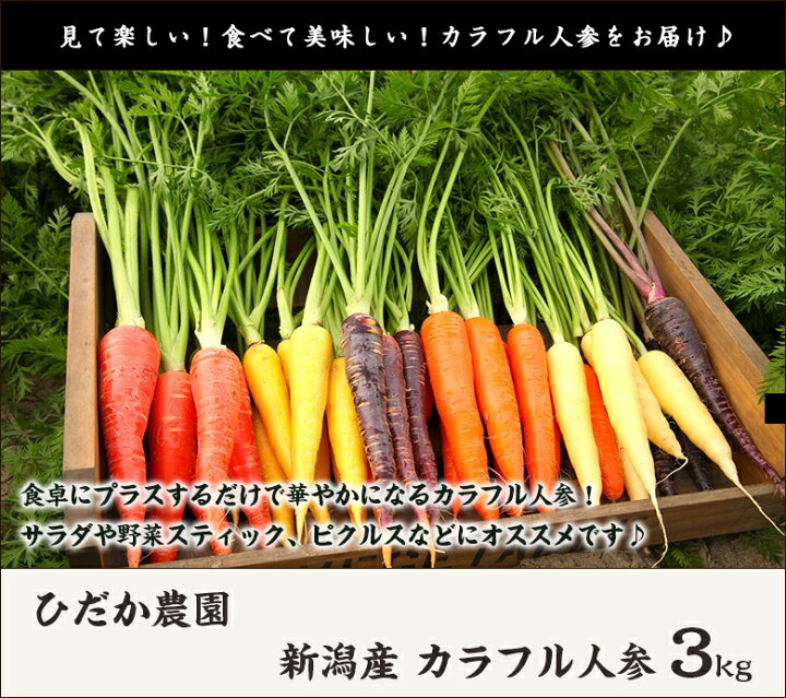 楽天市場 新潟産 カラフル人参 3kg 1本あたり100 150g 5色 6色入り ひだか農園 にんじん ニンジン 国産 サラダや野菜スティック ピクルスに 送料無料 新潟直送計画 楽天市場店