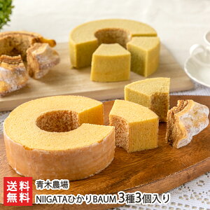 NIIGATAЂBAUM 33i\tgEn[hE钃 e1jؔ_ o[N[w mَq ĉَq Ăَq eB[^C    Ԃ ĕ V YҒ 