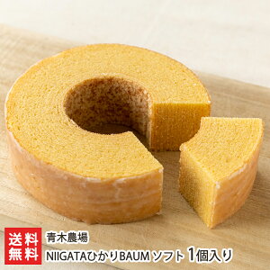 NIIGATAЂBAUM \tg 1 ؔ_ o[N[w mَq ĉَq Ăَq eB[^C    Ԃ ĕ V YҒ  Mtg v[g 