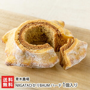 NIIGATAЂBAUM n[h 1 ؔ_ o[N[w mَq ĉَq Ăَq eB[^C    Ԃ ĕ V YҒ  Mtg v[g 