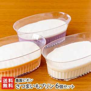 ܂v 6Zbg gEp[vXC[g[hEg͂邩3킩6Iщ _rM XC[c  fU[g ܈ Tc}C F ۑEFs