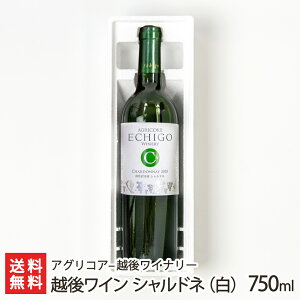 zハC Vhlij750ml AORA - zハCi[ {i Mn rn Ѝ͔| ܂₩ LO V YҒ  Mtg v[g 蕨 
