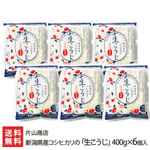 VYRVqJ́uv400g×6 ЎRX VY RVqJ yHi     Î X V YҒ  Mtg v[g 蕨 