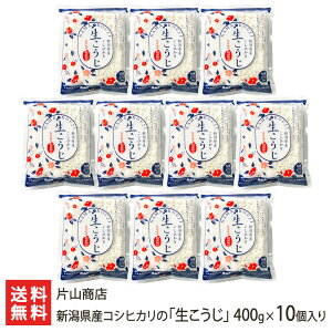 VYRVqJ́uv400g×10 ЎRX VY RVqJ yHi     Î X V YҒ  Mtg v[g 蕨 
