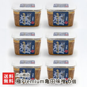 TcX Iׂ 2 ` 6 ЎRX VY RVqJ 哤 ݂ ~\  yHi V YҒ  Mtg v[g 蕨 