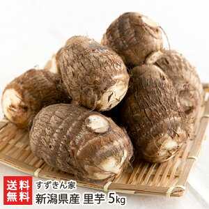 VY  Iׂ 2kg ` 5kg  Ƃ TgC a Y V YҒ  Mtg v[g 蕨  Ε