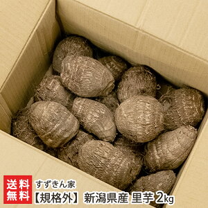 �y�K�i�O�z�V�����Y ���� 2kg ��������� ���Ƃ��� �T�g�C�� ��a���� �����Y �V���� ���Y�Ғ��� ������ �������� ���Ε�