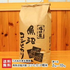 令和6年度産米 南魚沼 塩沢産 コシヒカリ 精米 選べる 2kg 〜 10kg うおぬま倉友農園 こしひかり 精白米 うるち米 新潟産 新潟県 生産者直送 お取り寄せ ギフト プレゼント 贈り物 送料無料