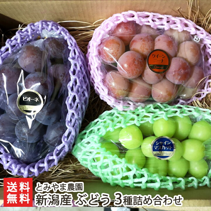 楽天市場】新潟産 ぶどう 3種詰め合わせ（シャインマスカット 