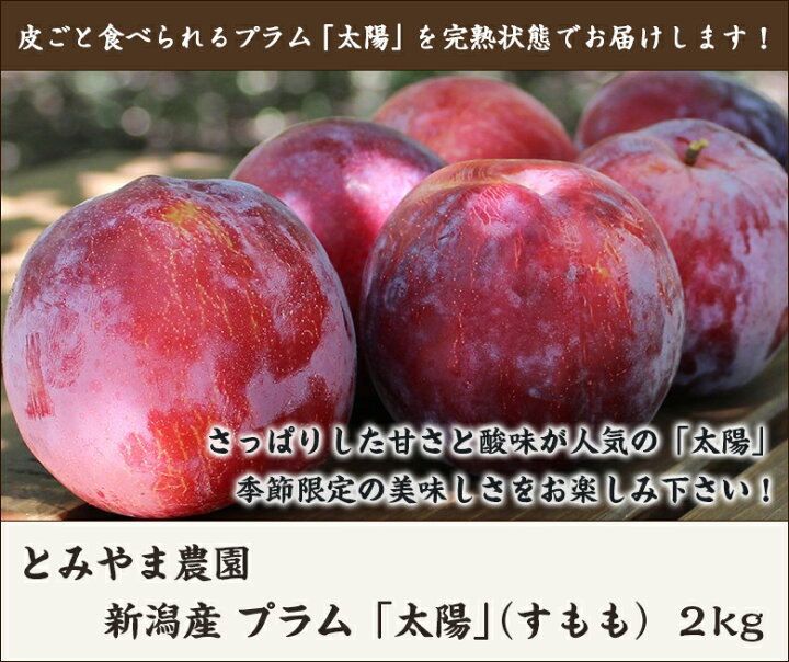 楽天市場 新潟産 プラム すもも 太陽 2kg 約9 12玉 完熟 スモモ 李 酢桃 送料無料 父の日にも 新潟直送計画 楽天市場店