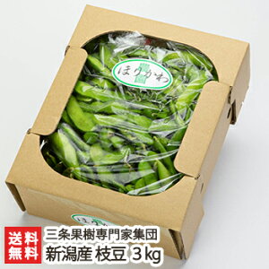 �V���Y ���̂�}�� �u1kg�vor�u2kg�vor�u3kg�v�O���ʎ��W�c�y�N�x���Q/�z�b/�����܂�/�G�_�}��/������/�_�ƒ����z�y���������z