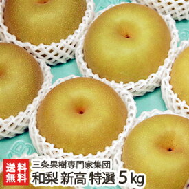 新潟産 日本梨 特選 新高 5kg（6〜8玉）三条果樹専門家集団【新高梨】【新潟県産梨/なし/ナシ/和梨】【お土産/手土産/ギフトに！贈り物】【送料無料】