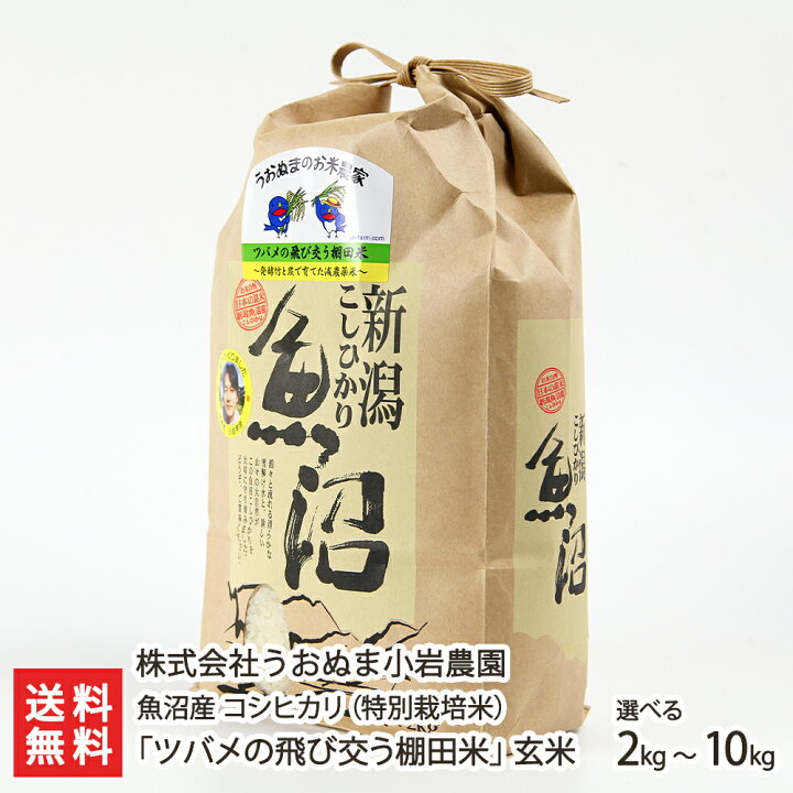 楽天市場】【令和7年度米】特別栽培米（減農薬・減化学肥料）魚沼産 