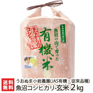 yߘa7NxVāzJASF _Ew엿 L@͔| Y Ic͔|RVqJi]ij 2kg ` 10kg Ђʂ܏_ Ђ L@ RVqJ  Ic