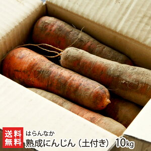 �n���ɂ񂶂�i �y�t�� �j3kg �` 10kg �͂��Ȃ� �l�Q �j���W�� �Ó�Y �y�� ��n�� �X�e�B�b�N �T���_ �X�[�v �X���[�W�[ �V���� ���Y�Ғ��� ������ �M�t�g �v���[���g ���蕨 ���Ε�