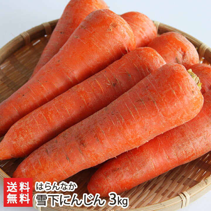 1650円 気質アップ 魚沼産 無農薬栽培 熟成にんじん 土付き 10kg はらん 1650円 気質アップ 魚沼産 無農薬栽培 熟成にんじん 土付き 10kg はらん