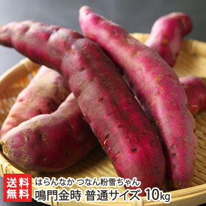 Y _͔|̒ቷn܂iytj Ȃ񕲐Ⴟ TCY 5kg ` TCY 10kg ͂Ȃ ȂƋ  Tc}C Dt Ղ V YҒ