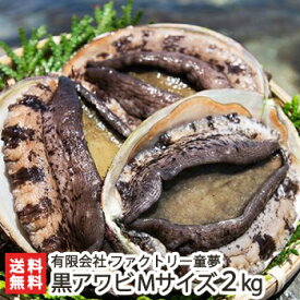 佐渡産「活」黒あわび Mサイズ 2kg ファクトリー童夢【アワビ/エアーポンプ付/鮮度抜群】【代金引換・後払い不可】【送料無料】 父の日 お中元