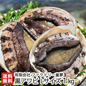 佐渡産「活」黒あわび Lサイズ 1kg ファクトリー童夢【アワビ/エアーポンプ付/鮮度抜群】【代金引換・後払い不可】【送料無料】