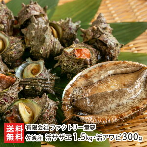 nY TUG1.5kgi20`23jEAr300gi2j t@Ng[  h   Zbg lߍ킹 VN H Cm[w V YҒ  Mtg v[