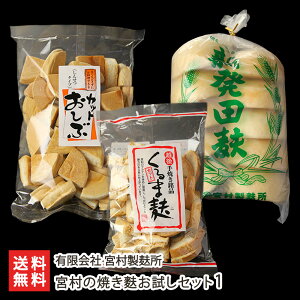 {̏ĂnZbg1iJbg100gAJbgn100gAVcn10×1܁j L {o n  n n ܂ V YҒ  Mtg v[g 