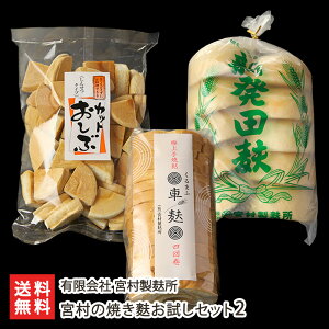 {̏ĂnZbg2iJbg100gAn415AVcn10×1܁j L {o n  n n ܂ V YҒ  Mtg v[g 