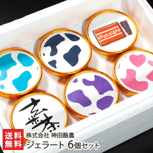 q꒼IWF[g 6Zbgi~N, `R[g, ~N, Ē, ~N, u[x[`[Yj  _c_ YҒyXC[c fU[g ACX X 肽