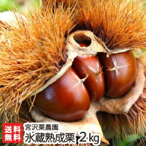 VzY XnI 2kg {I_yY//N/ÌI/l/ۂ낽/MÌI/藢/ΒȁzyĂIEIтɁIzyz